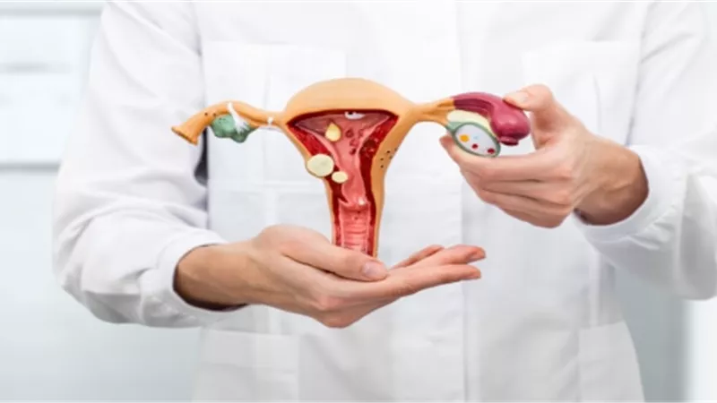 الالتهابات المهبلية أثناء الحمل.. ما هي أنواعها وكيف الوقاية منها؟ 