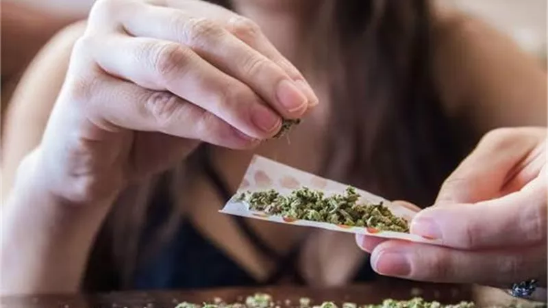 رحلة الحب والمخدرات بين روميو وجوليت تنتهي بـ 15 سنة سجنًا      