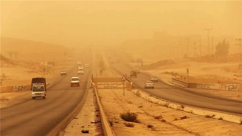 حالة الطقس اليوم الأحد.. برودة وأمطار وتحذير من الرياح والأتربة