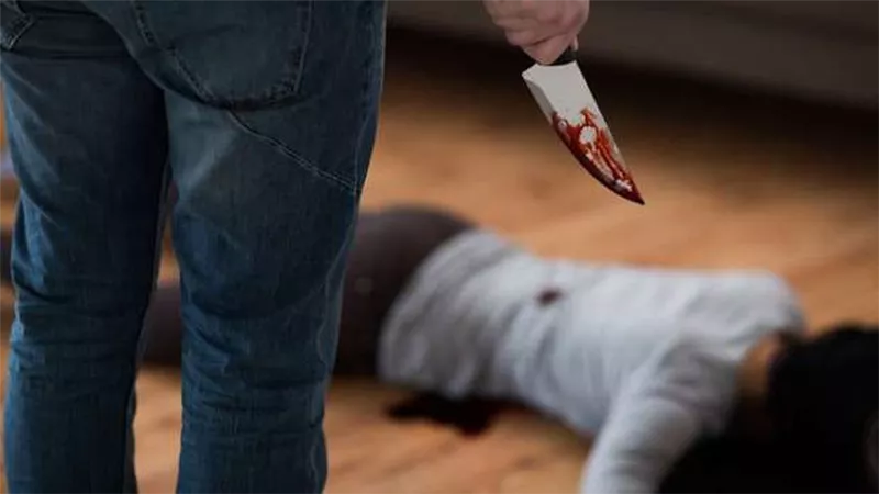 قاتل زوجة شقيقه: كانت سبب المشاكل وتحريض أخي على الميراث