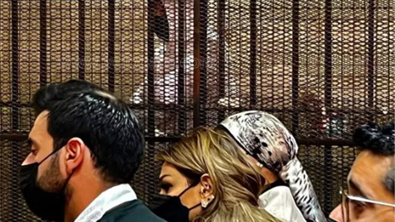 شاهدة تُفجر مفاجأة في ثالث جلسات محاكمة رجل الأعمال محمد الأمين