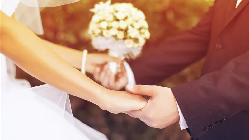 البنات على فيس بوك:«نفسي اتجوز شوفولي عريس»
