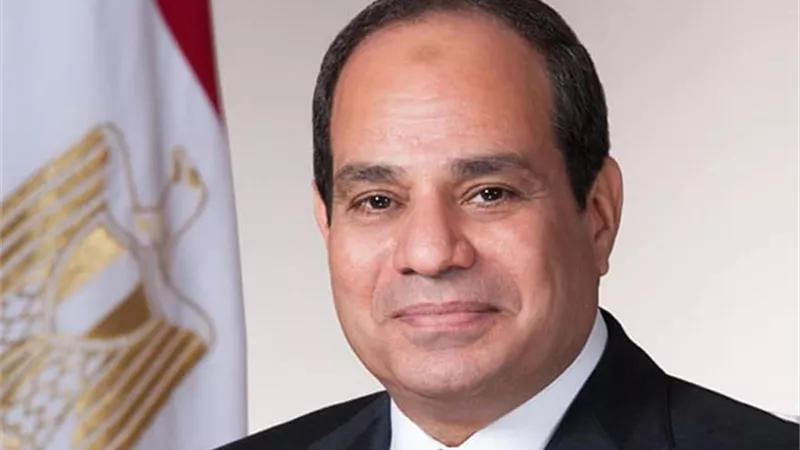 مبادرة «مصر والسودان إيد واحدة» تشيد بقرار السيسي بإعفاء سودانيي مصر من غرامات التأخير 