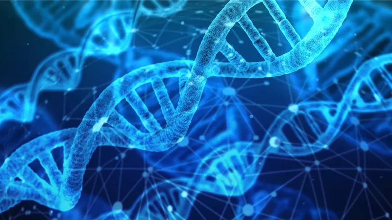 مفاجأة.. «الإفتاء»: البصمة الوراثية DNA لا تجوز شرعًا في نفي النسب