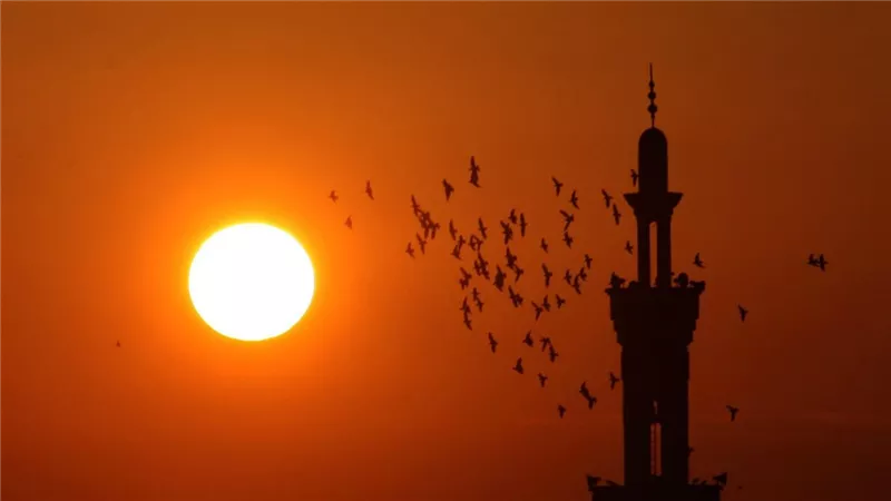 فتاوى رمضان| رد حاسم من «الإفتاء» على التشكيك في وقت إفطار الصائمين