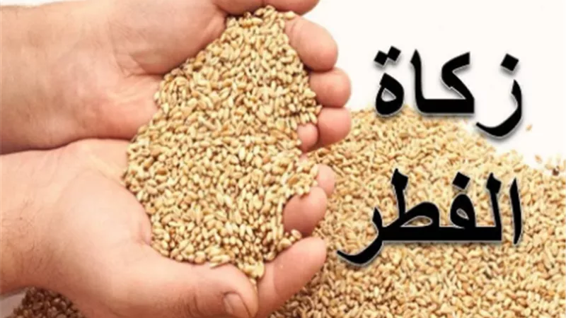 فتاوى رمضان| حكم نقل زكاة الفطر وتوزيعها على أبناء الوطن الأصلي.. «الإفتاء» تُجيب