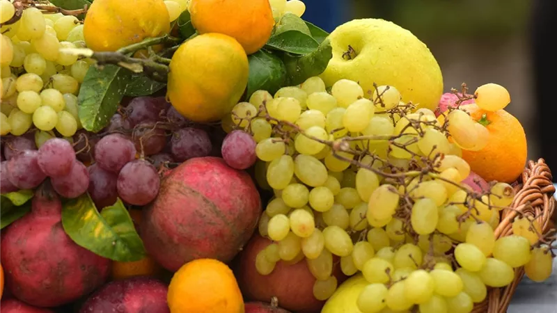 أسعار الفواكه بجميع أنواعها في الأسواق اليوم السبت