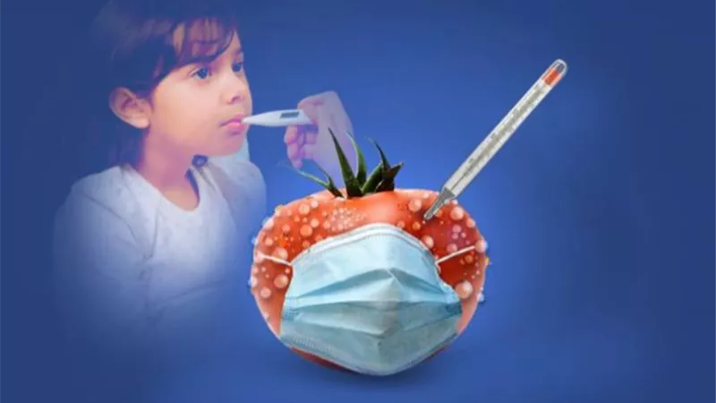 أنفلونزا الطماطم.. أخصائي يكشف أعراضها وطرق علاج الأطفال منها