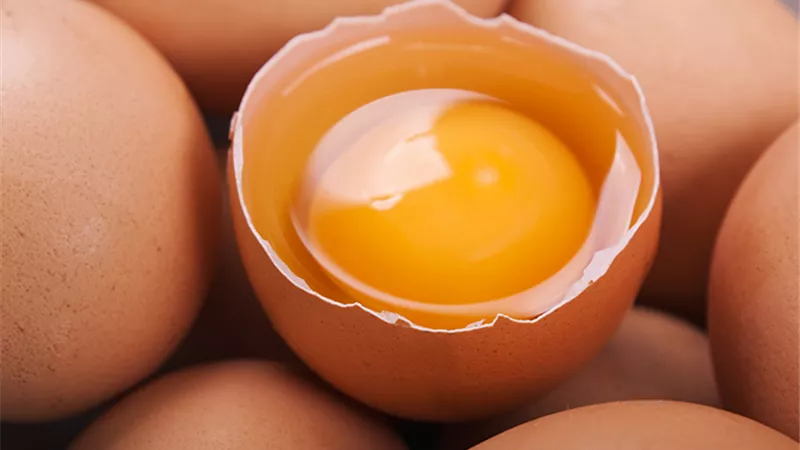 تفسير حلم البيض النيئ في المنام وعلاقته بالنكد وكثرة الهموم