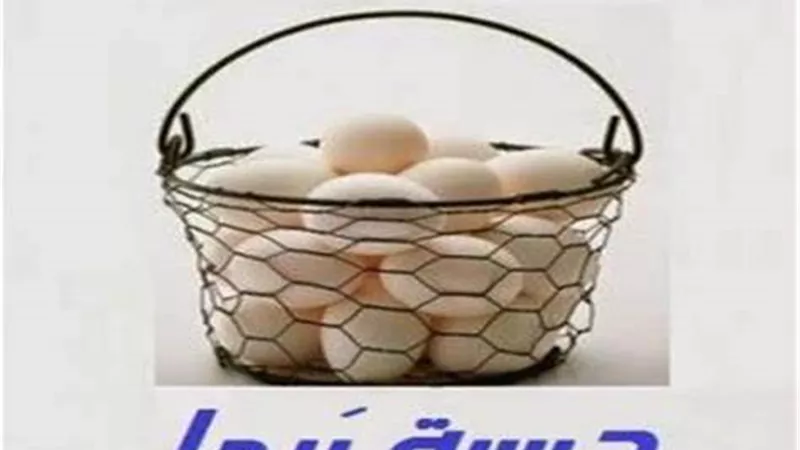 علاقة مثل 