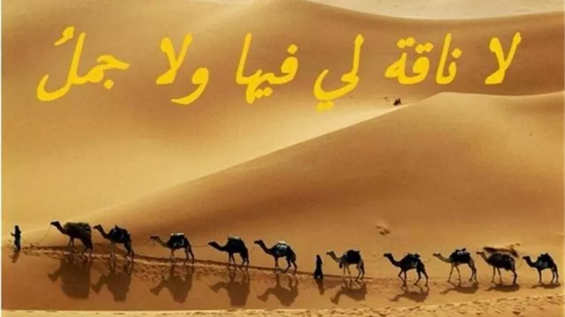 قصة المثل الشعبي «لا ناقة لي فيها ولا جمل» وعلاقتها بحرب البسوس 