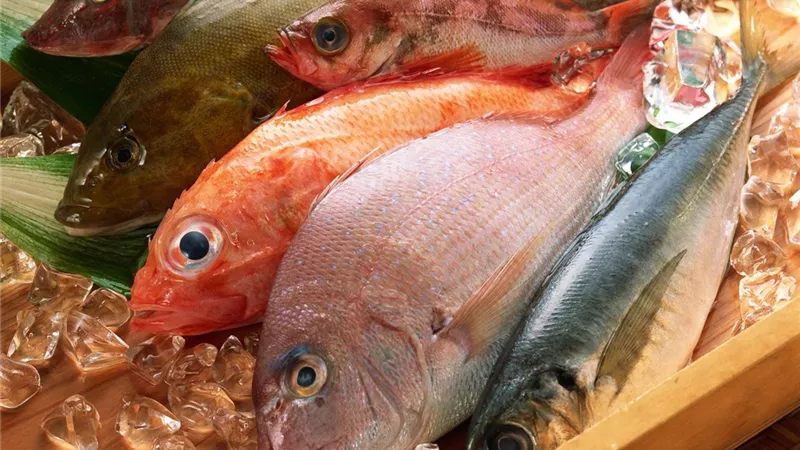 أسعار الأسماك اليوم السبت في الأسواق.. سردين مجمد بـ30 جنيها