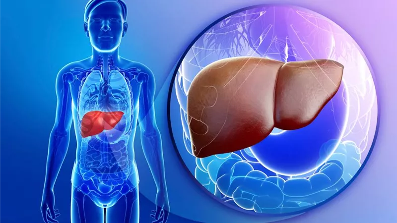 تعرفي على أسباب وأعراض تضخم الكبد 