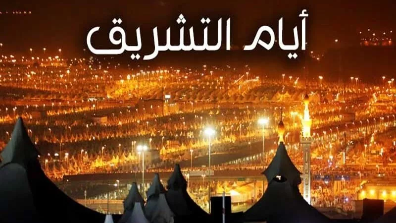 أمين الفتوى يوضح ما يجب فعله في أيام التشريق| فيديو