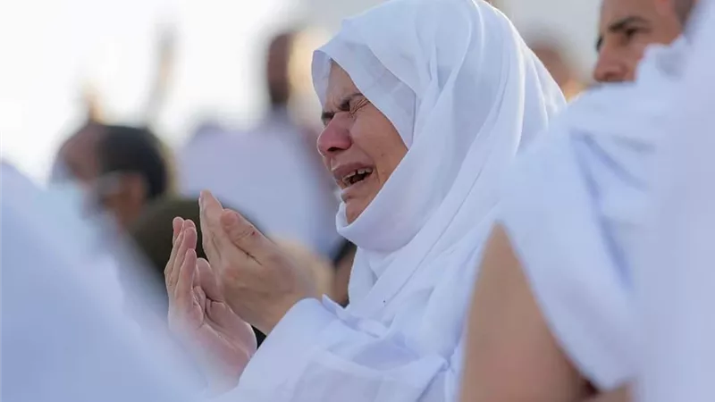 من صعيد عرفات.. مشاهد إيمانية لضيوف الرحمن| صور