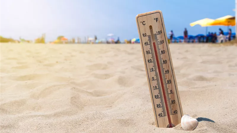 طقس اليوم الخميس.. الأرصاد تحذر من التعرض لأشعة الشمس خلال ساعات الذروة