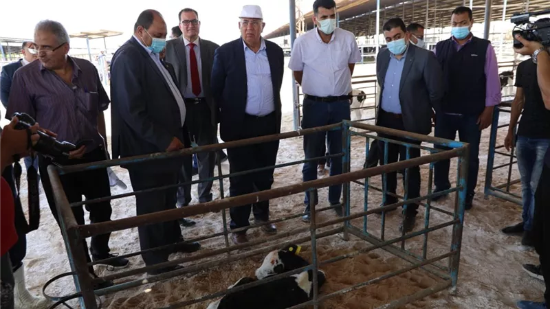 وزير الزراعة يتفقد مزرعة الإنتاج الحيواني وتصنيع الألبان بالنوبارية