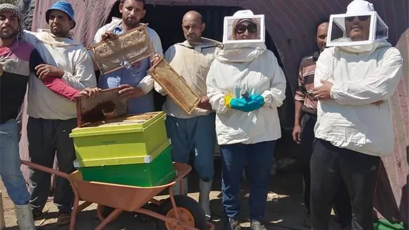 انطلاق مبادرة تطوير صناعة نحل العسل بالفيوم 