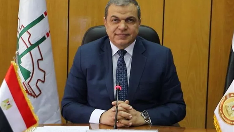 القوى العاملة: التفتيش على 1103 منشآت وتحرير 452 مخالفة بالقليوبية