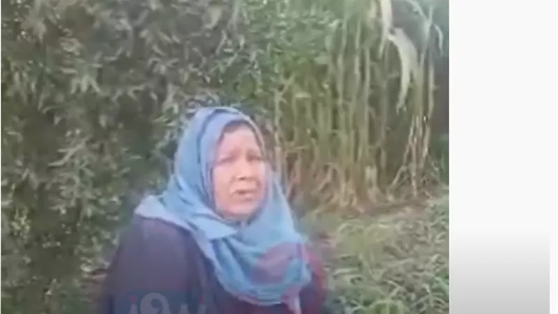 الست الشقيانة.. أم شريف سيدة سبعينية تعمل في الزراعة لتصرف على نفسها.. فيديو 