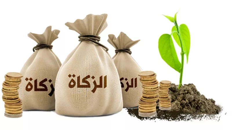 هل يجب الزكاة عن أموال دفاتر التوفير؟.. الإفتاء تجيب
