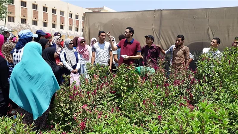 تخريج 75 سيدة مزارعة في المدارس الحقلية ببني سويف