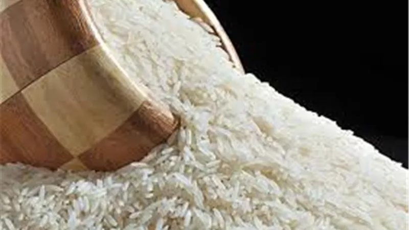التموين: هذه عقوبات المزارعين الممتنعين عن توريد الأرز.. ونستهدف 1.5 مليون طن