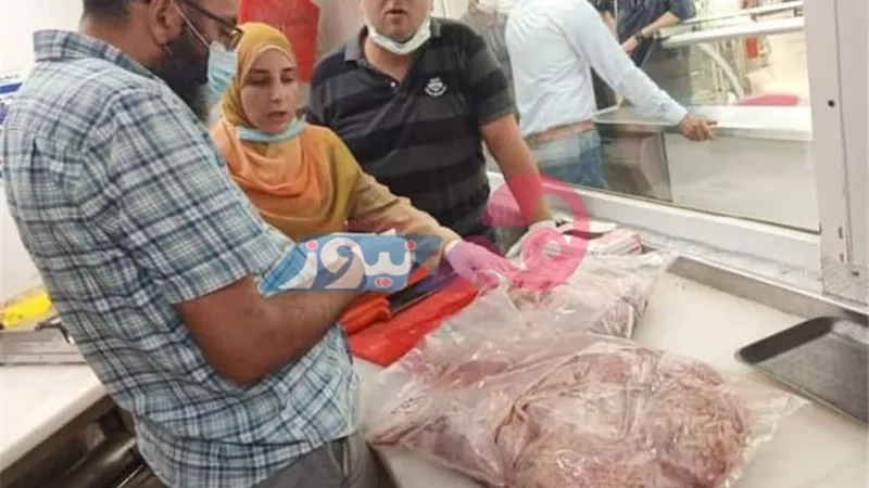 مديرة الطب البيطري: منح الضبطية القضائية لـ7 أطباء في جنوب سيناء