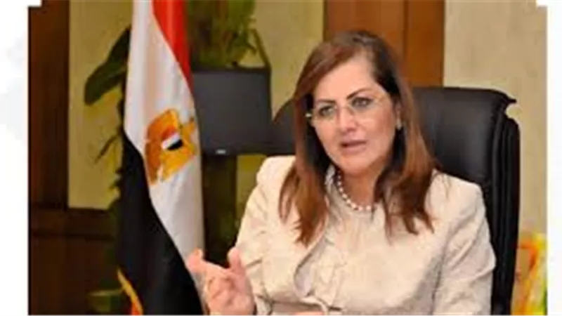 أبرزها توافر السلع الأساسية.. «التخطيط» تعلن خطة قطاع التموين 2023