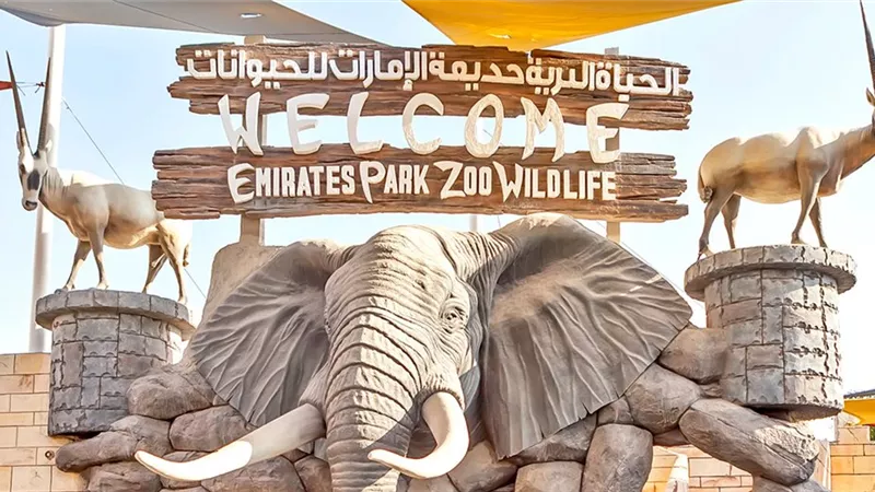 من هي بطلة أول فيلم مصري يصور في حديقة حيوان «أبو ظبي».. فيديو