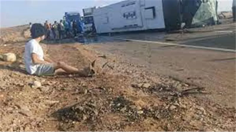 تعاطف واسع مع صورة طفل بحادث الزعفرانة.. وهجوم على السائق