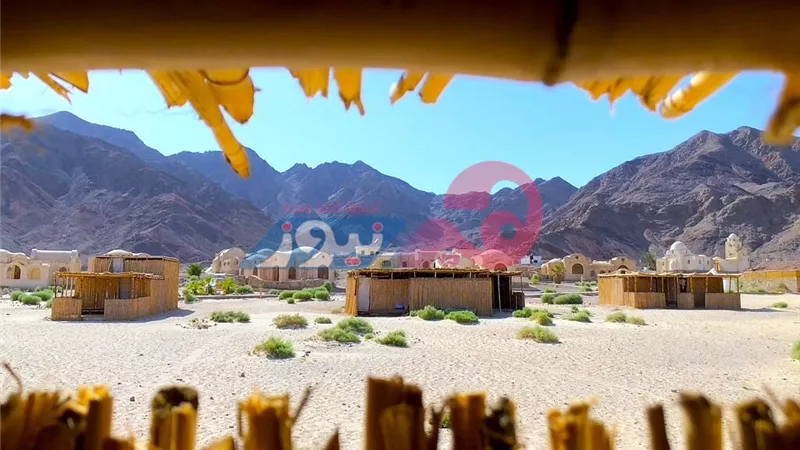 صور| «بساطة» أول مخيم يحصل على «المفتاح الأخضر» في الشرق الأوسط 