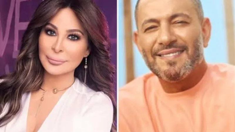 إليسا تلجأ للقضاء في خلافها مع زياد برجي على أغنية 