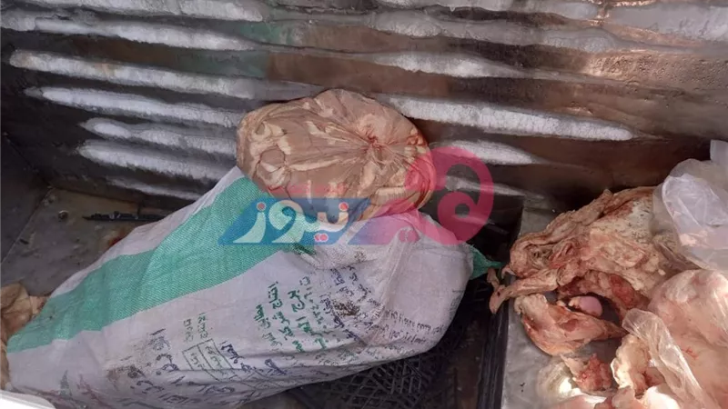 احذري اللحوم الفاسدة في جنوب سيناء.. والطب البيطري تتدخل