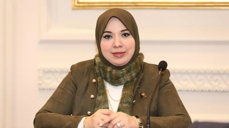 4 مميزات لـ صالون «رؤى الشباب» للنائبة دينا هلالي.. تعرفي عليها