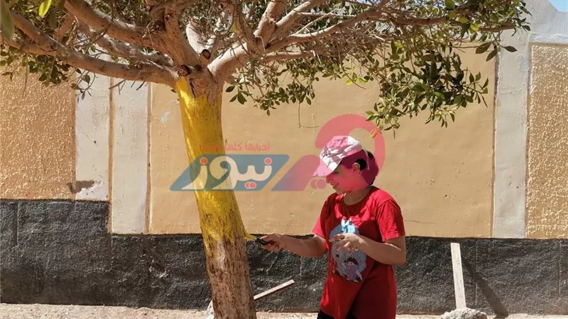 «بإيدينا نجملها» حملة طالبات ومعلمات «الأهرام» لاستقبال العام الدراسي الجديد بطور سيناء