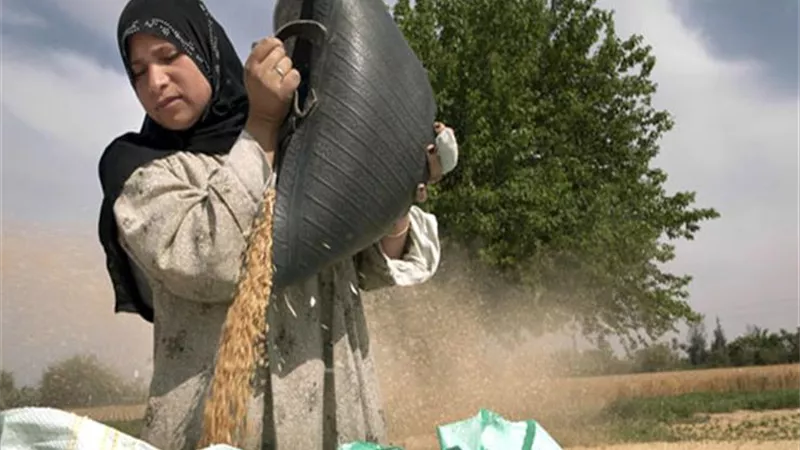  برعاية «هير نيوز».. بني سويف تستضيف مؤتمر اليوم العالمي للمرأة الريفية