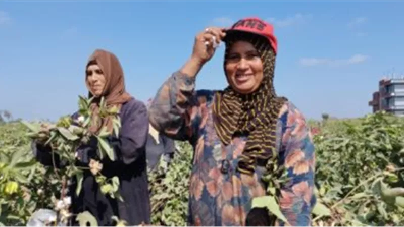 في يوم المرأة الريفية.. نساء مصر القديمة كن فلاحات 