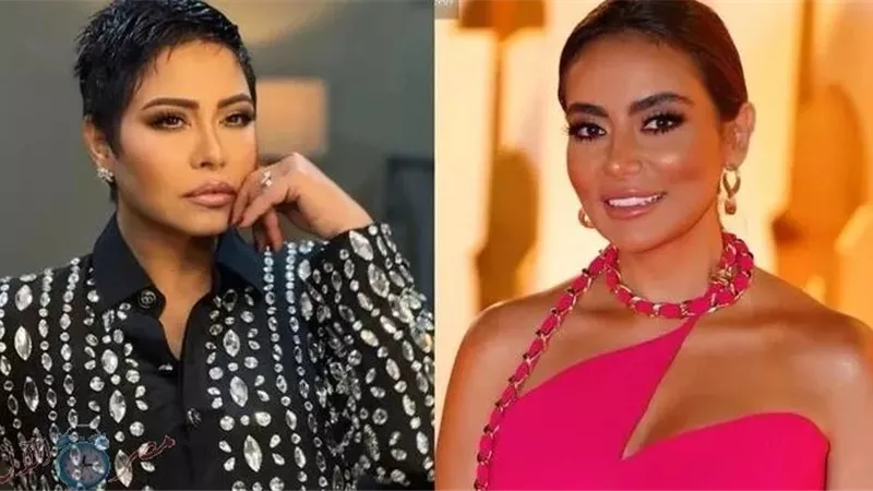 أزمات ومحاكم.. من هي سارة الطباخ بطلة أزمة شيرين عبد الوهاب؟