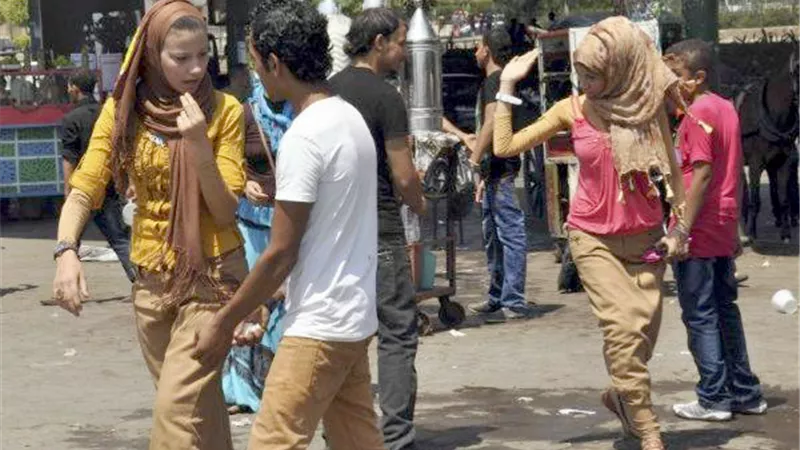 الداخلية تضبط 3 وقائع معاكسة طالبات بإحدى المدارس في المعادي