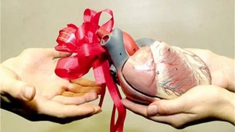 هل يجوز التبرع بالأعضاء التناسلية بعد الوفاة؟.. الإفتاء تفجر مفاجأة