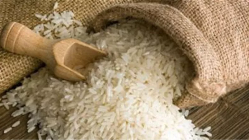 رئيس شعبة الأرز يحسم الجدل حول أنباء ارتفاع سعره بسبب الدولار