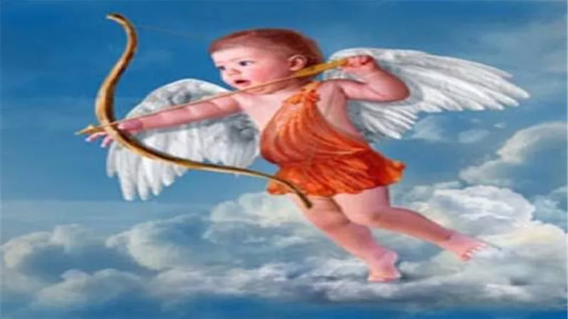 في عيد الحب.. متخصصون: انشروا الحب ليعم السلام بين الأزواج