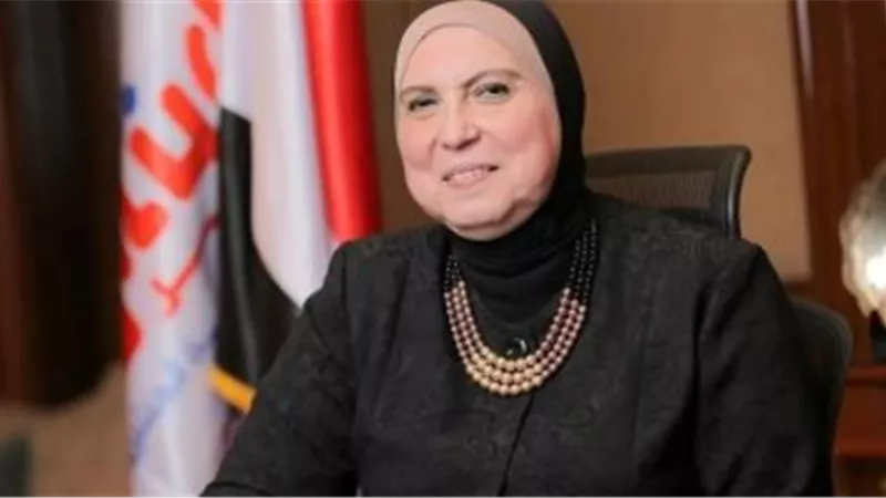 نيفين جامع تعرض تجربة مصر في النهوض بقطاع المشروعات الصغيرة