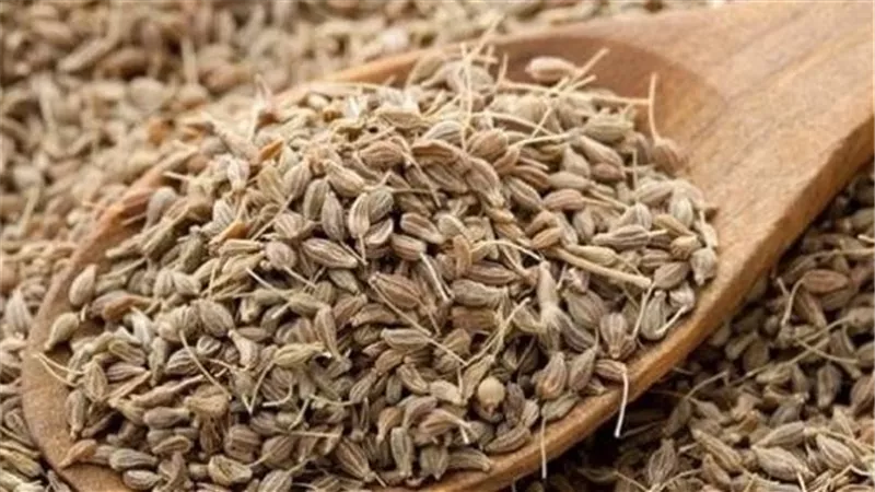 يعالج مشكلات الدورة الشهرية.. إليك فوائد وأضرار اليانسون