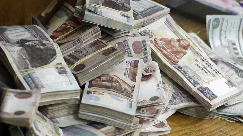 ضحت بسيارتها وميراثها.. سيدة تنفق نصف مليون جنيه على علاج كلبها