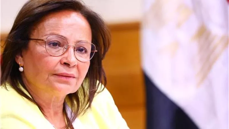 نيفين عثمان.. من هي أمين عام المجلس القومي للطفولة والأمومة؟