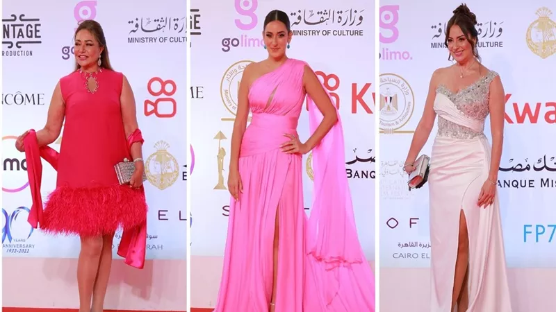 أمينة شلباية تتغزل في فستان ليلى علوي وتهاجم بسمة ومي سليم.. صور