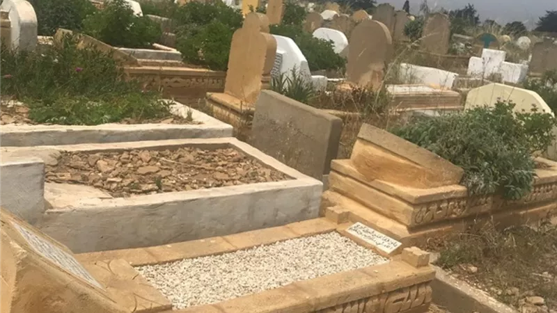 رؤية مفزعة.. تفسير حلم رجوع الميت من القبر للعزباء والمتزوجة والحامل 