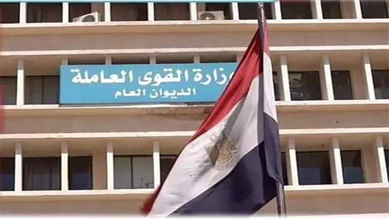 براتب 3000 جنيه.. القوى العاملة ببني سويف تعلن عن وظائف للفتيات